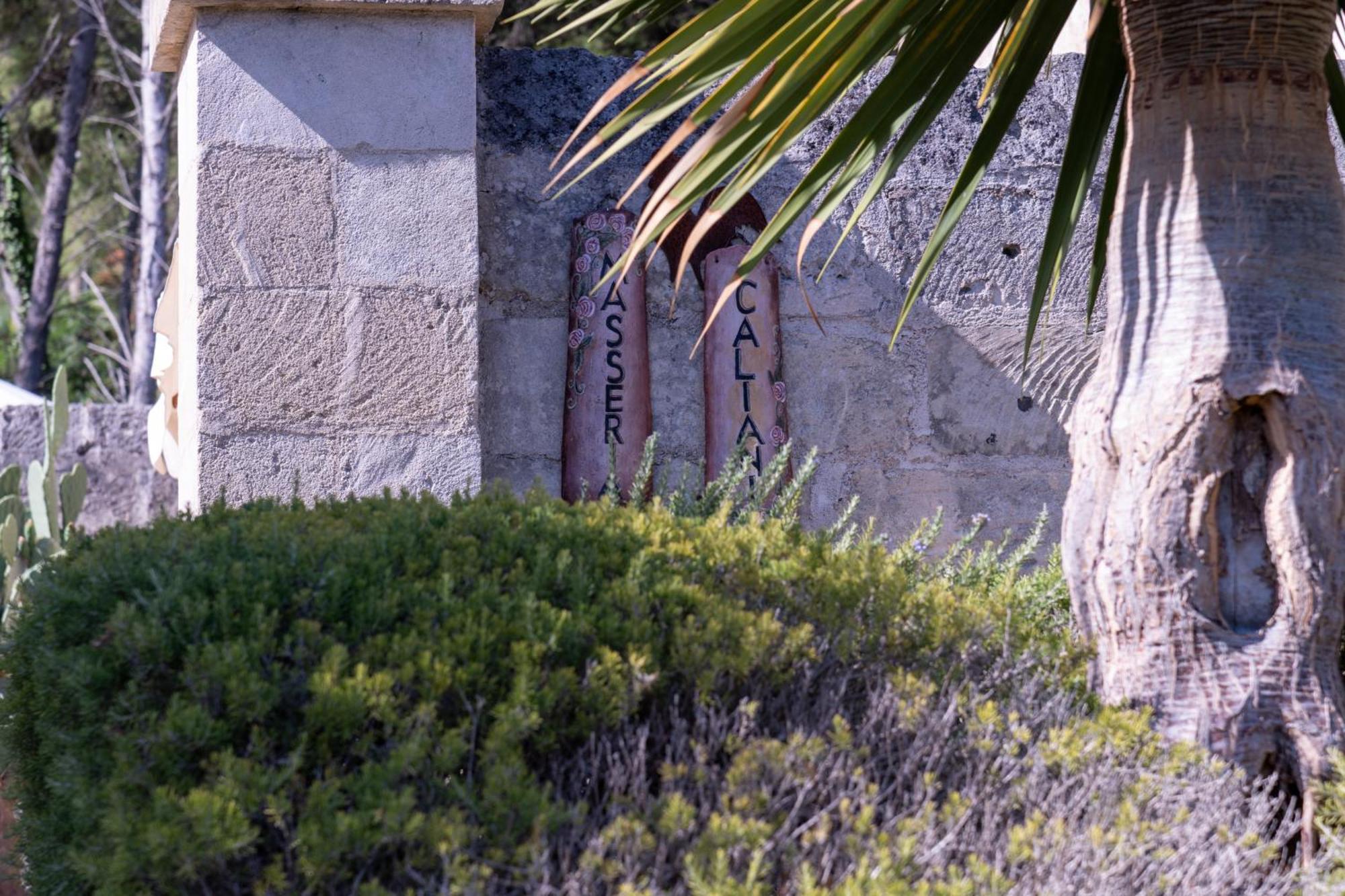 Masseria Caliani ボルガニェ エクステリア 写真