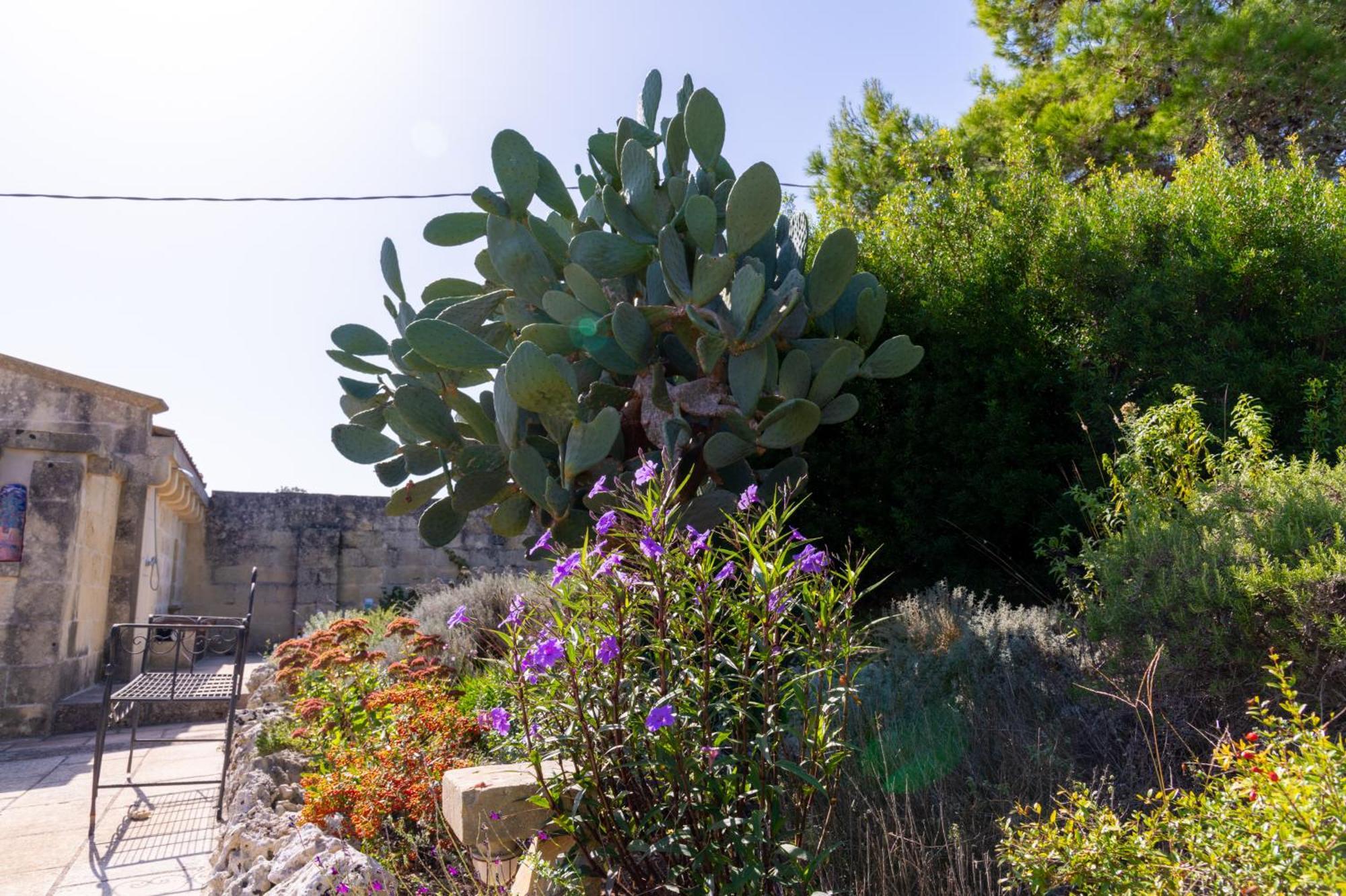 Masseria Caliani ボルガニェ エクステリア 写真
